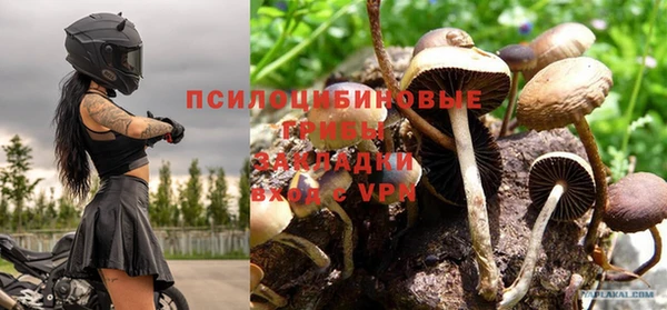 тгк Магадан
